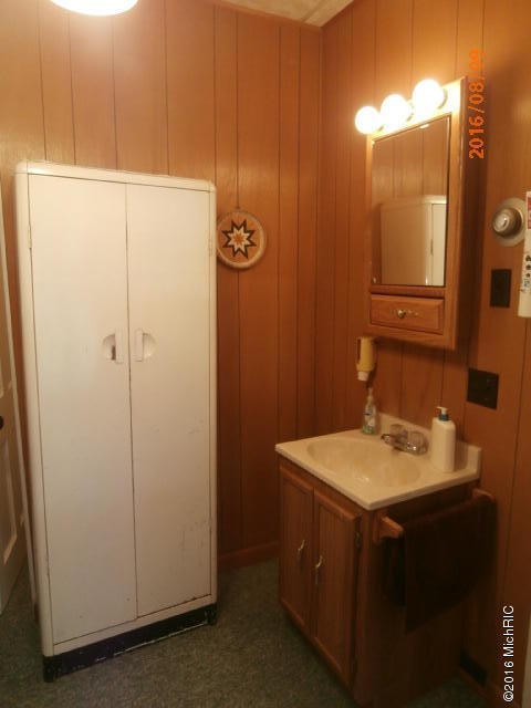 106 Willow St, Reading, MI 49274 photo 20