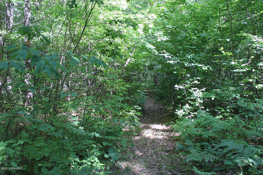 806 N Hemlock Ave, White Cloud, MI 49349 photo 22