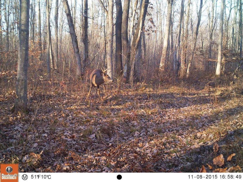 806 N Hemlock Ave, White Cloud, MI 49349 photo 30