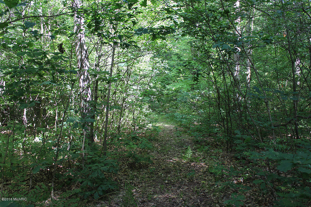 806 N Hemlock Ave, White Cloud, MI 49349 photo 20