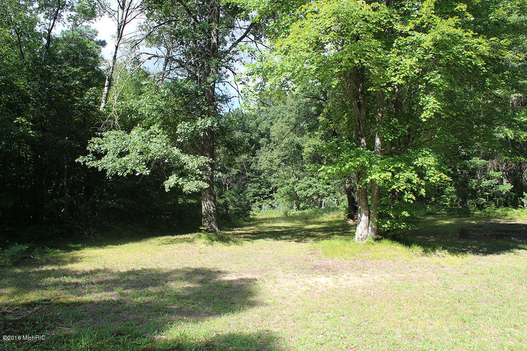 806 N Hemlock Ave, White Cloud, MI 49349 photo 18