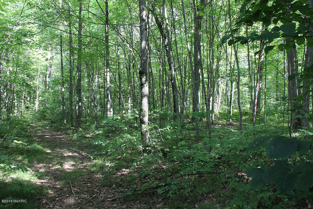 806 N Hemlock Ave, White Cloud, MI 49349 photo 27