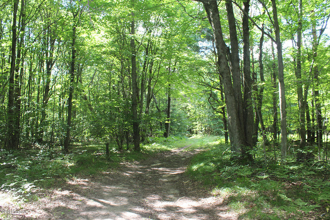 806 N Hemlock Ave, White Cloud, MI 49349 photo 17