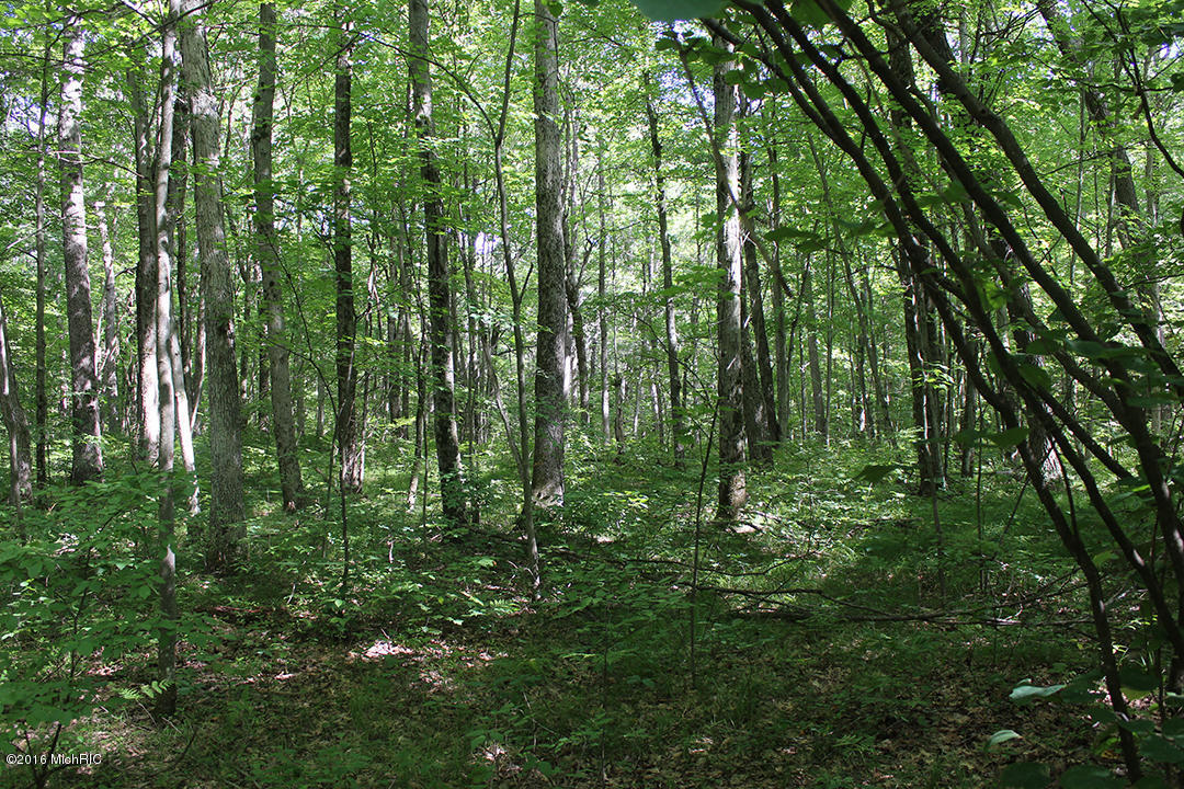 806 N Hemlock Ave, White Cloud, MI 49349 photo 25