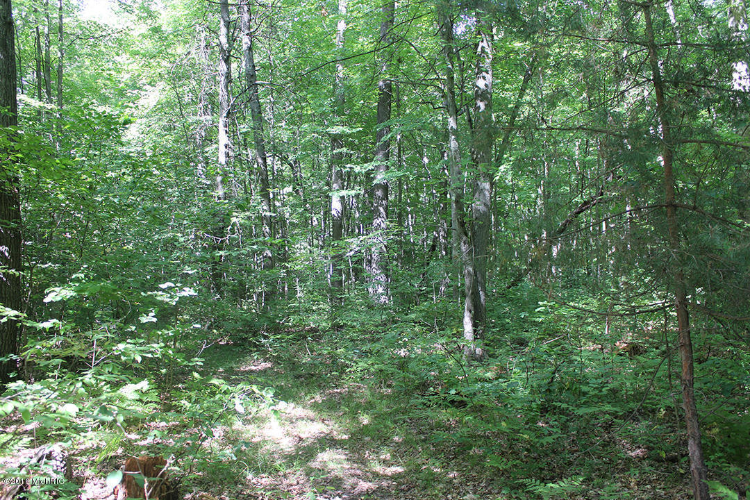 806 N Hemlock Ave, White Cloud, MI 49349 photo 21