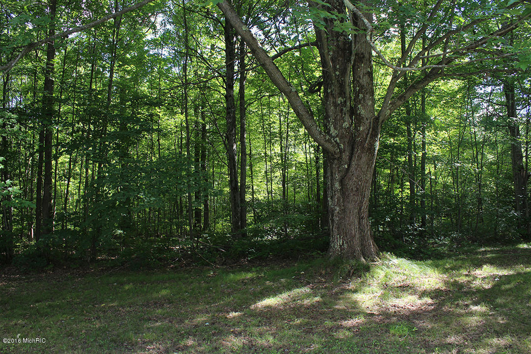 806 N Hemlock Ave, White Cloud, MI 49349 photo 26