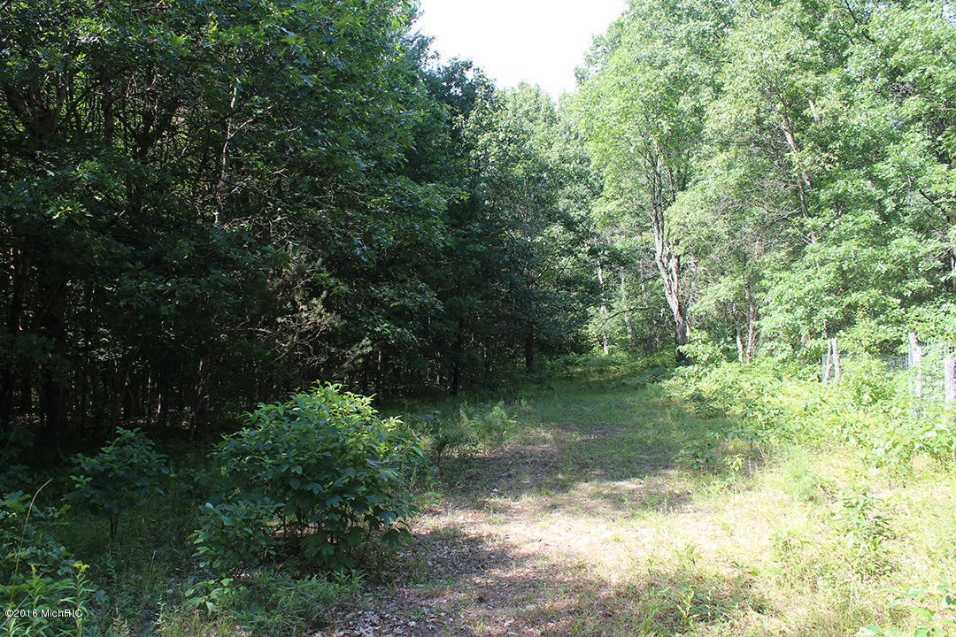 806 N Hemlock Ave, White Cloud, MI 49349 photo 19