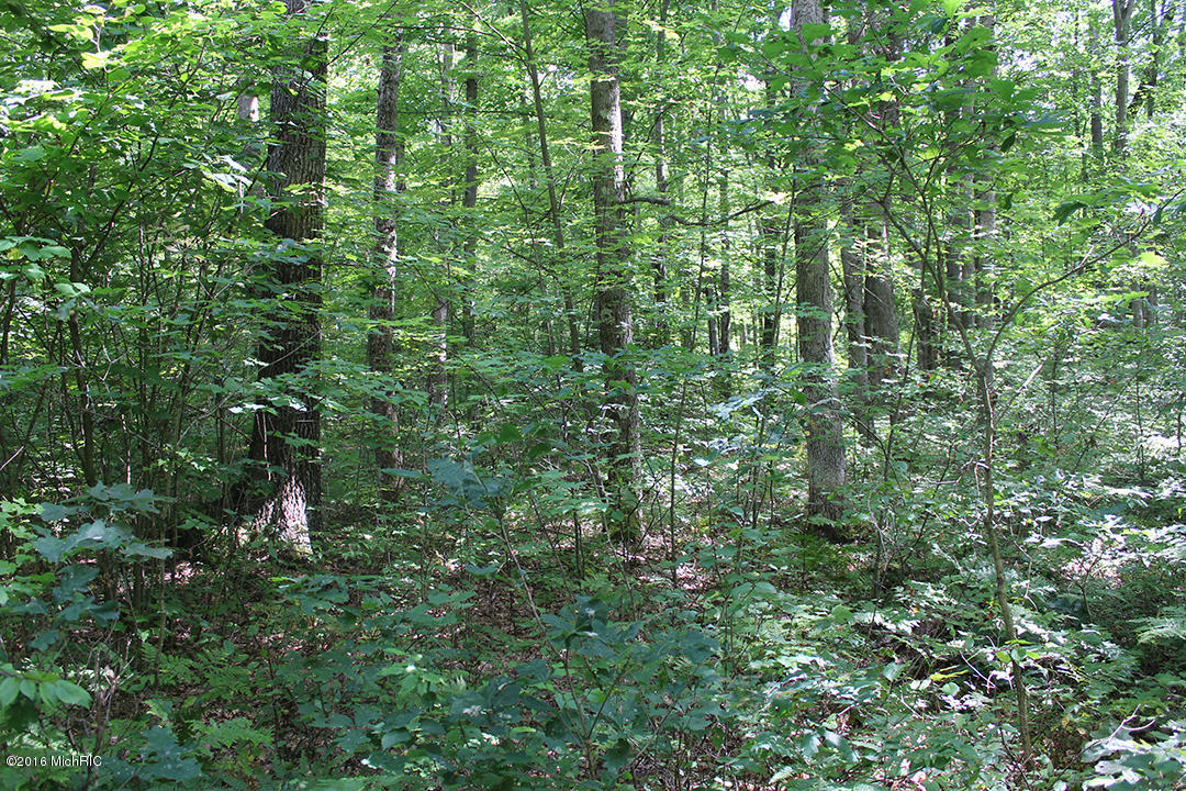 806 N Hemlock Ave, White Cloud, MI 49349 photo 23