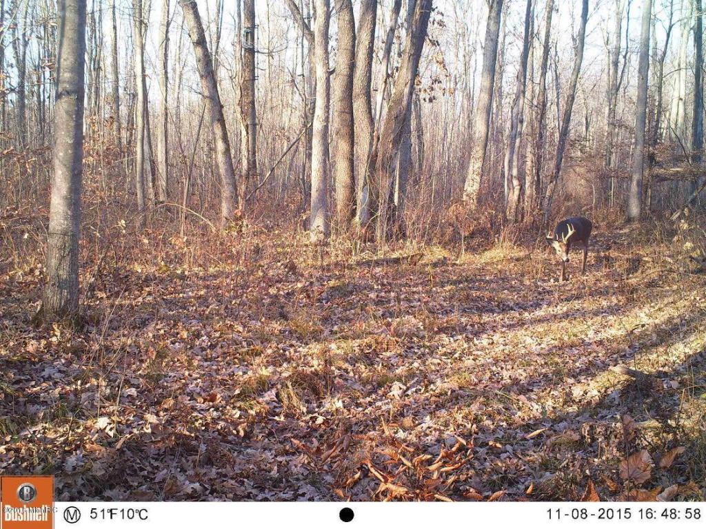 806 N Hemlock Ave, White Cloud, MI 49349 photo 31