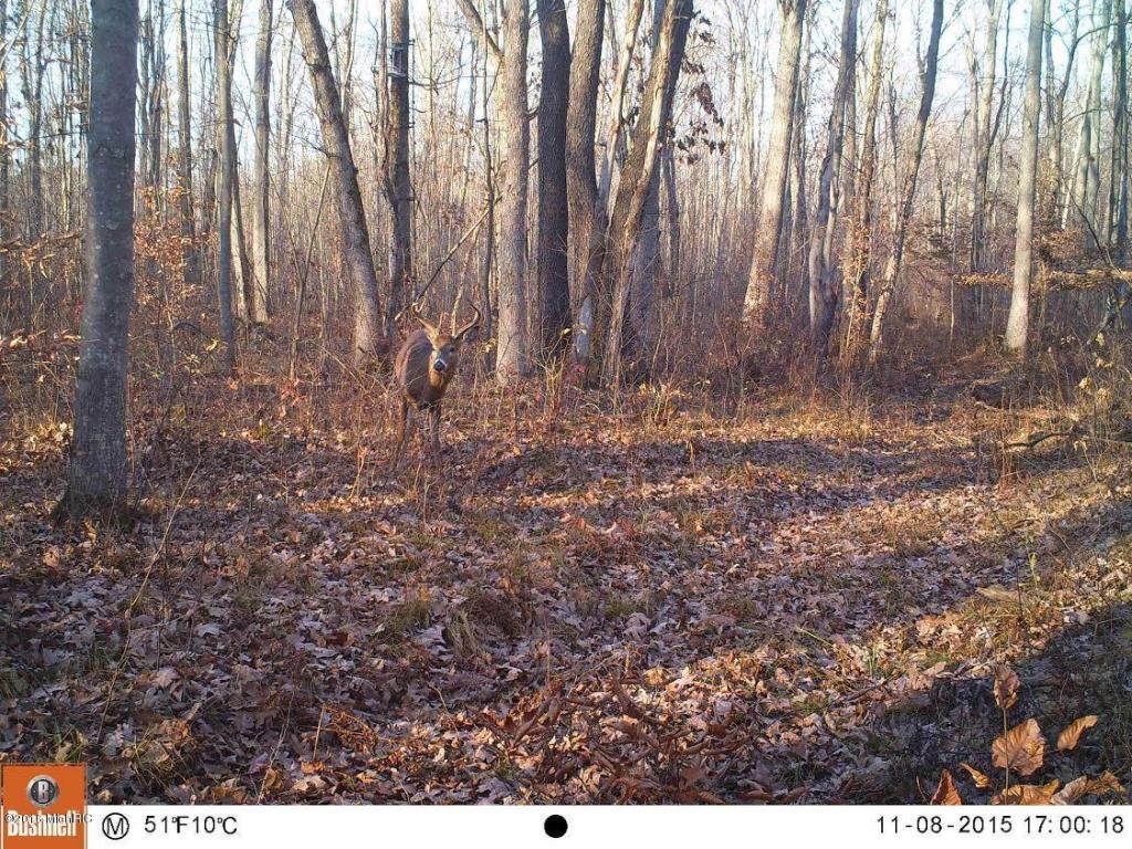 806 N Hemlock Ave, White Cloud, MI 49349 photo 29