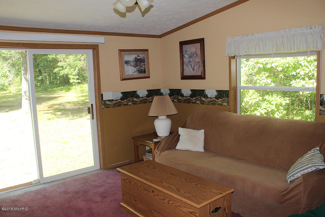 806 N Hemlock Ave, White Cloud, MI 49349 photo 9