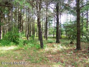 7771 N River Rd, Evart, MI 49631 photo 28