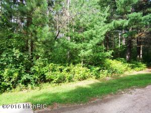 7771 N River Rd, Evart, MI 49631 photo 27