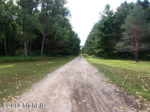 7771 N River Rd, Evart, MI 49631 photo 21