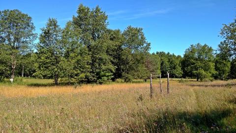 9592 E Decker Rd, Branch, MI 49402 photo 29