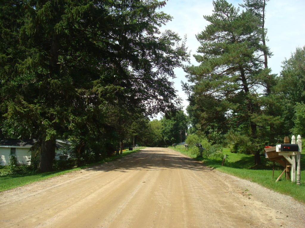 8191 Cole Rd, Reading, MI 49274 photo 40