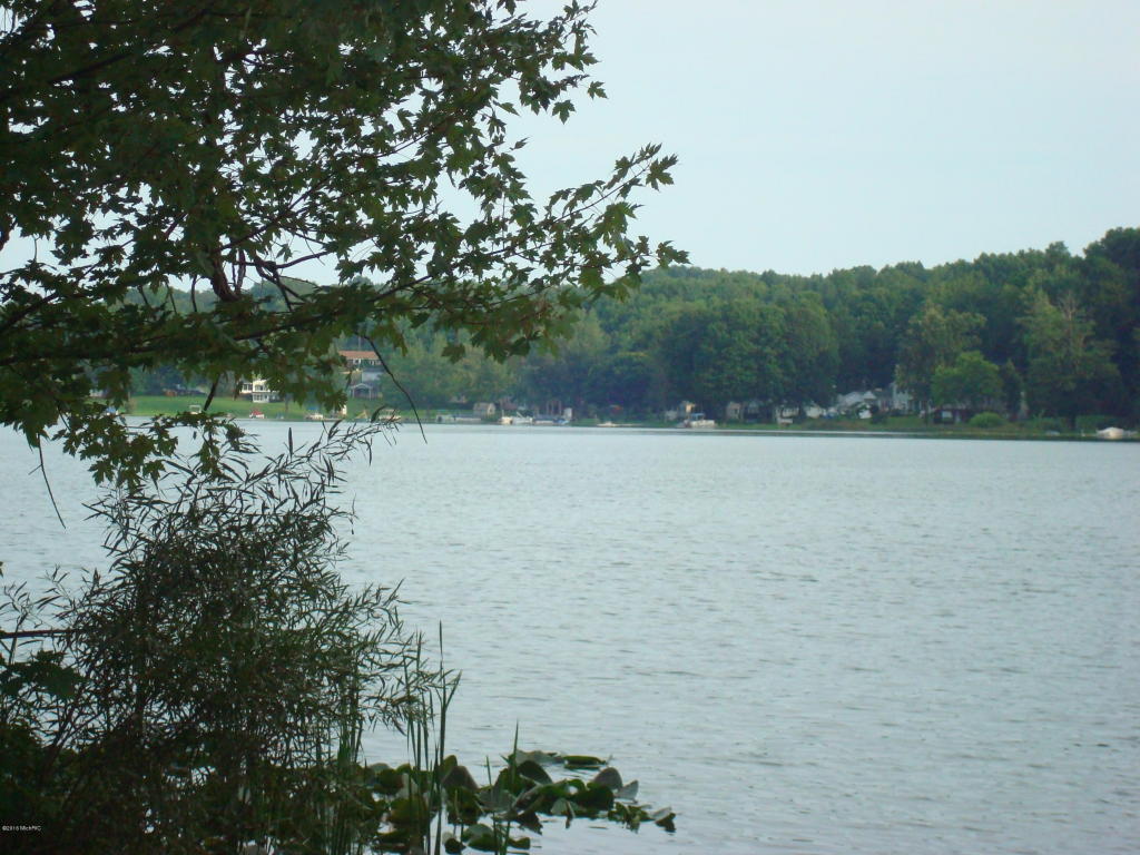 8191 Cole Rd, Reading, MI 49274 photo 52