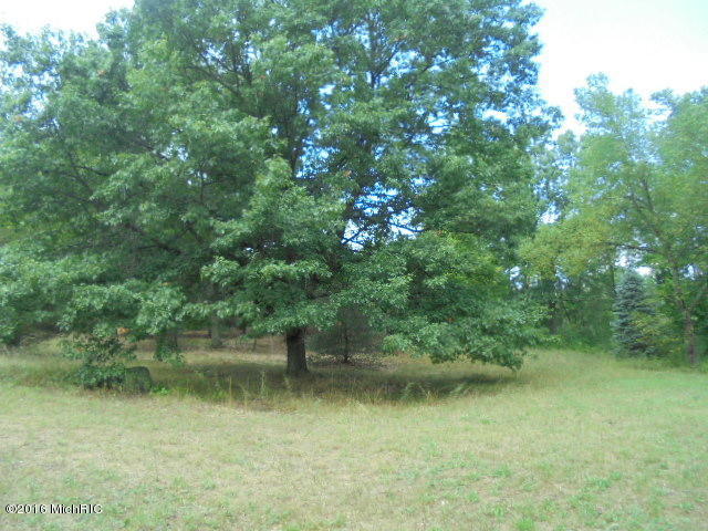 4546 Wheeler Rd, Belding, MI 48809 photo 18