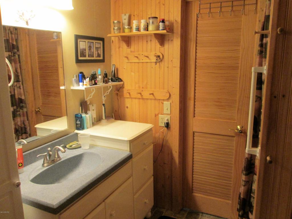 3926 East Shore Dr, Stanton, MI 48888 photo 15