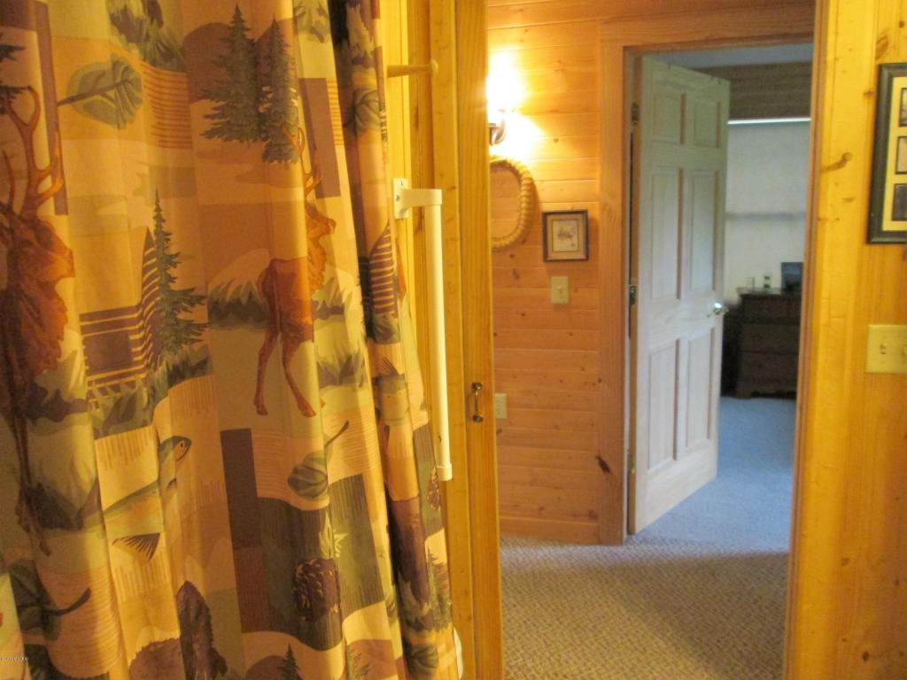 3926 East Shore Dr, Stanton, MI 48888 photo 16