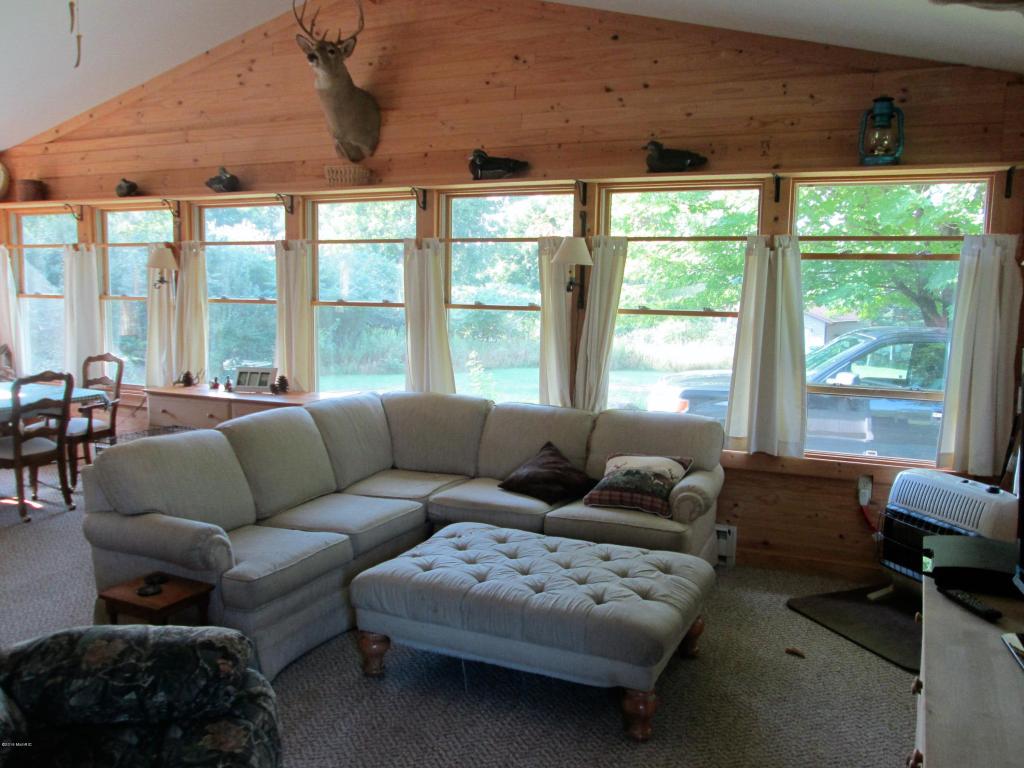3926 East Shore Dr, Stanton, MI 48888 photo 9
