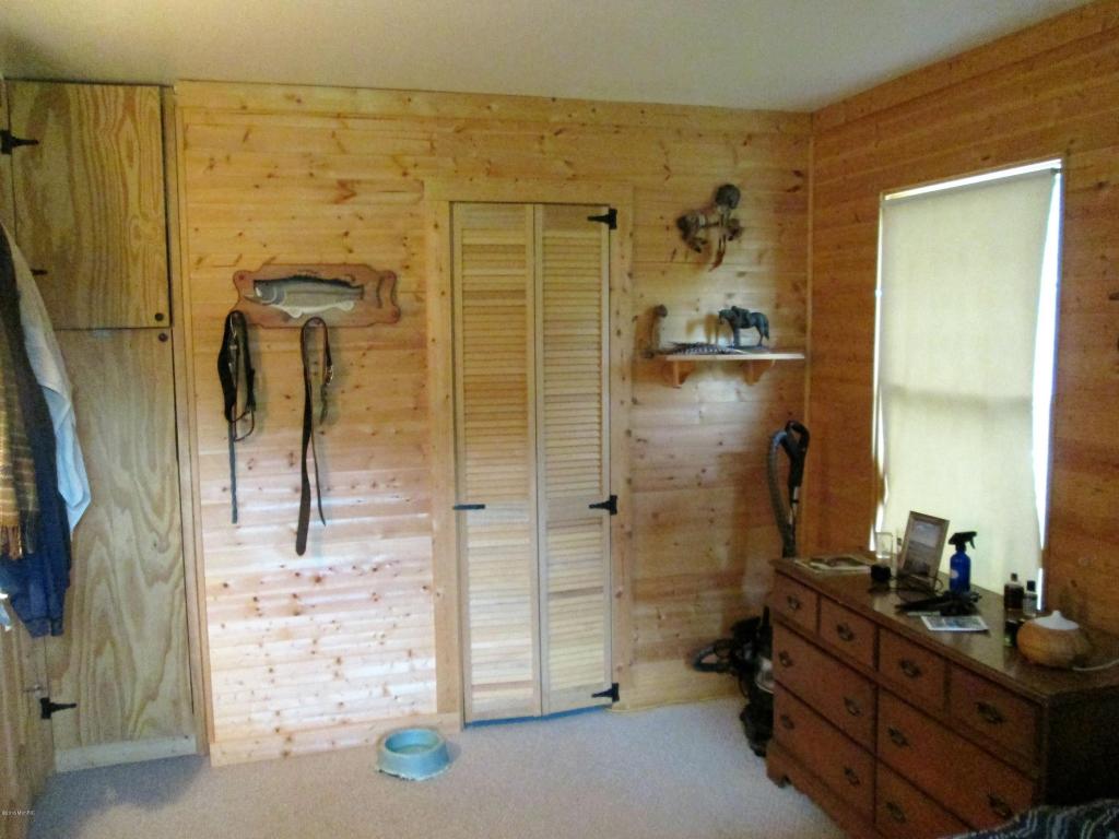 3926 East Shore Dr, Stanton, MI 48888 photo 13