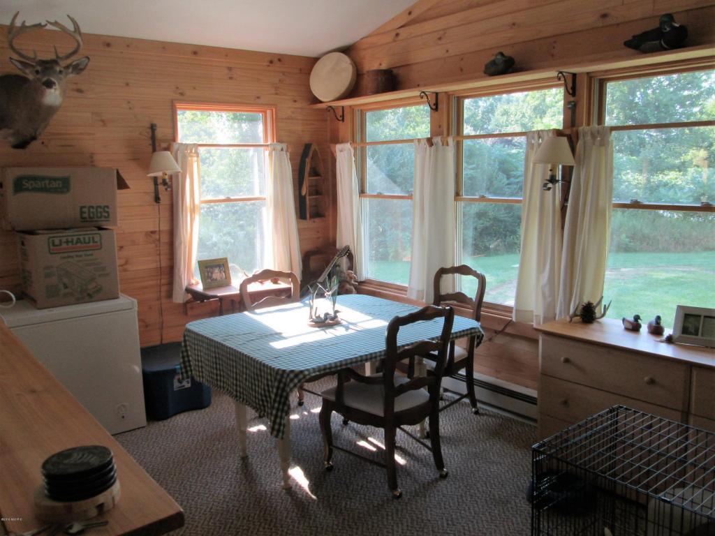 3926 East Shore Dr, Stanton, MI 48888 photo 11