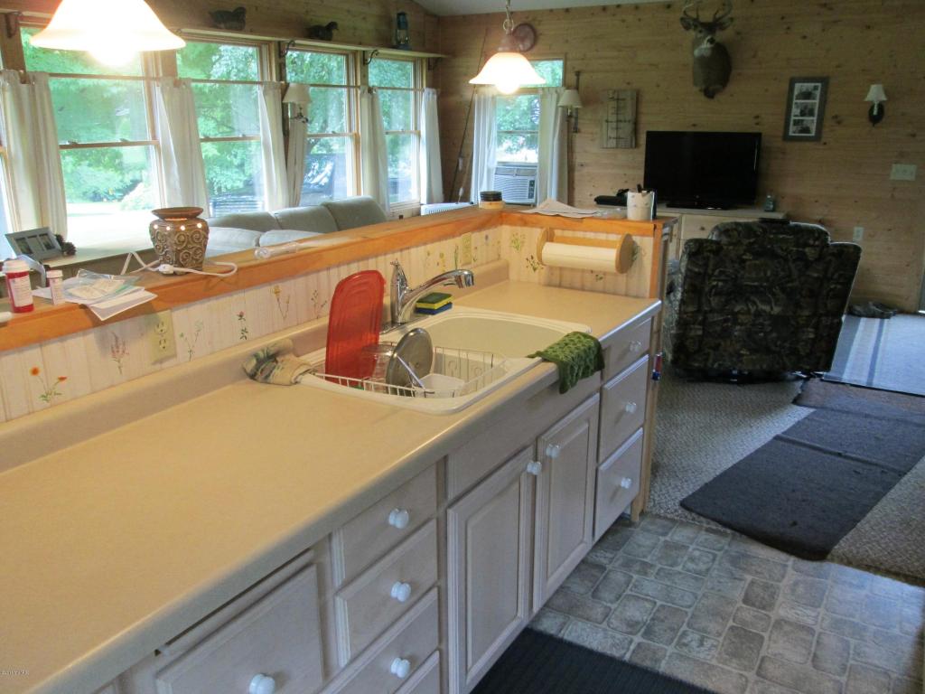 3926 East Shore Dr, Stanton, MI 48888 photo 8