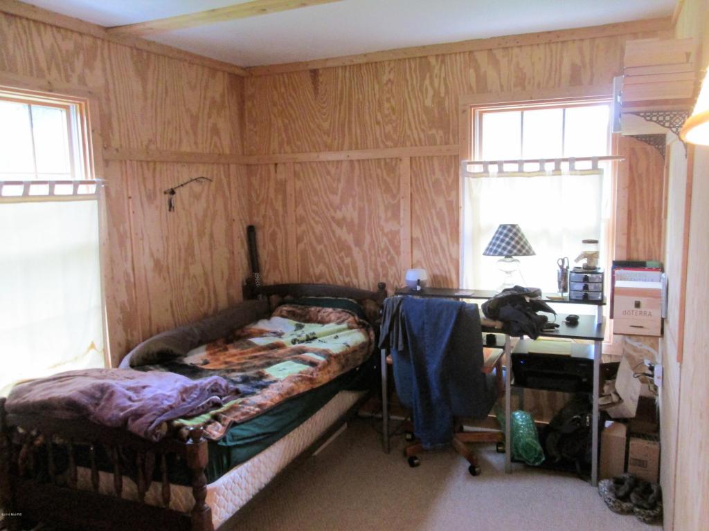 3926 East Shore Dr, Stanton, MI 48888 photo 14