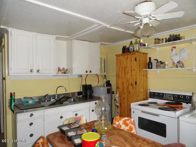 129 E Prospect St, Muir, MI 48860 photo 12