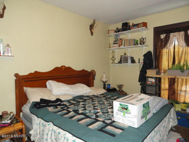 129 E Prospect St, Muir, MI 48860 photo 8