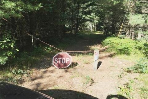 1205 W Lost Trl, Baldwin, MI 49304 photo 12