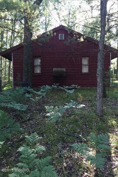 1205 W Lost Trl, Baldwin, MI 49304 photo 4
