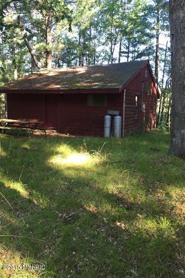 1205 W Lost Trl, Baldwin, MI 49304 photo 1