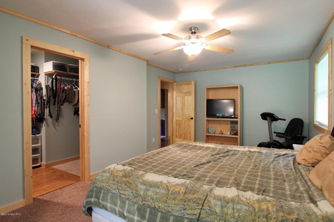 4010 E Shore Dr, Stanton, MI 48888 photo 13