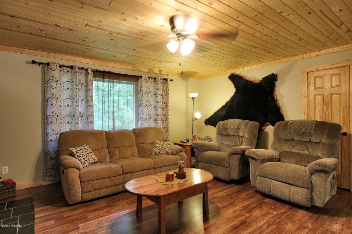 4010 E Shore Dr, Stanton, MI 48888 photo 5