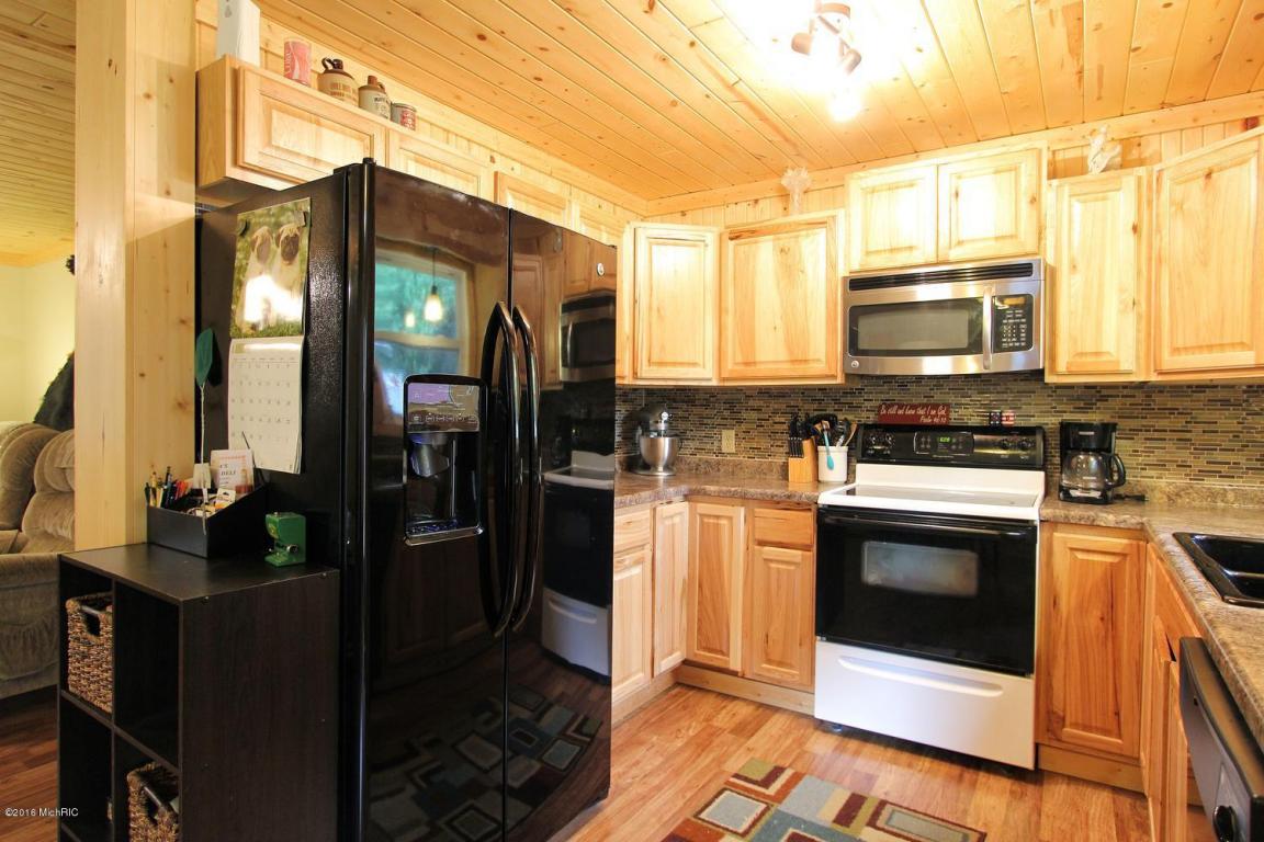 4010 E Shore Dr, Stanton, MI 48888 photo 10