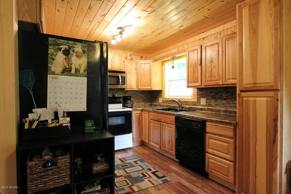 4010 E Shore Dr, Stanton, MI 48888 photo 8
