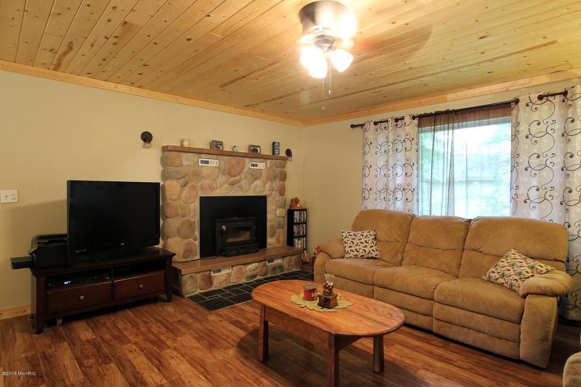 4010 E Shore Dr, Stanton, MI 48888 photo 4