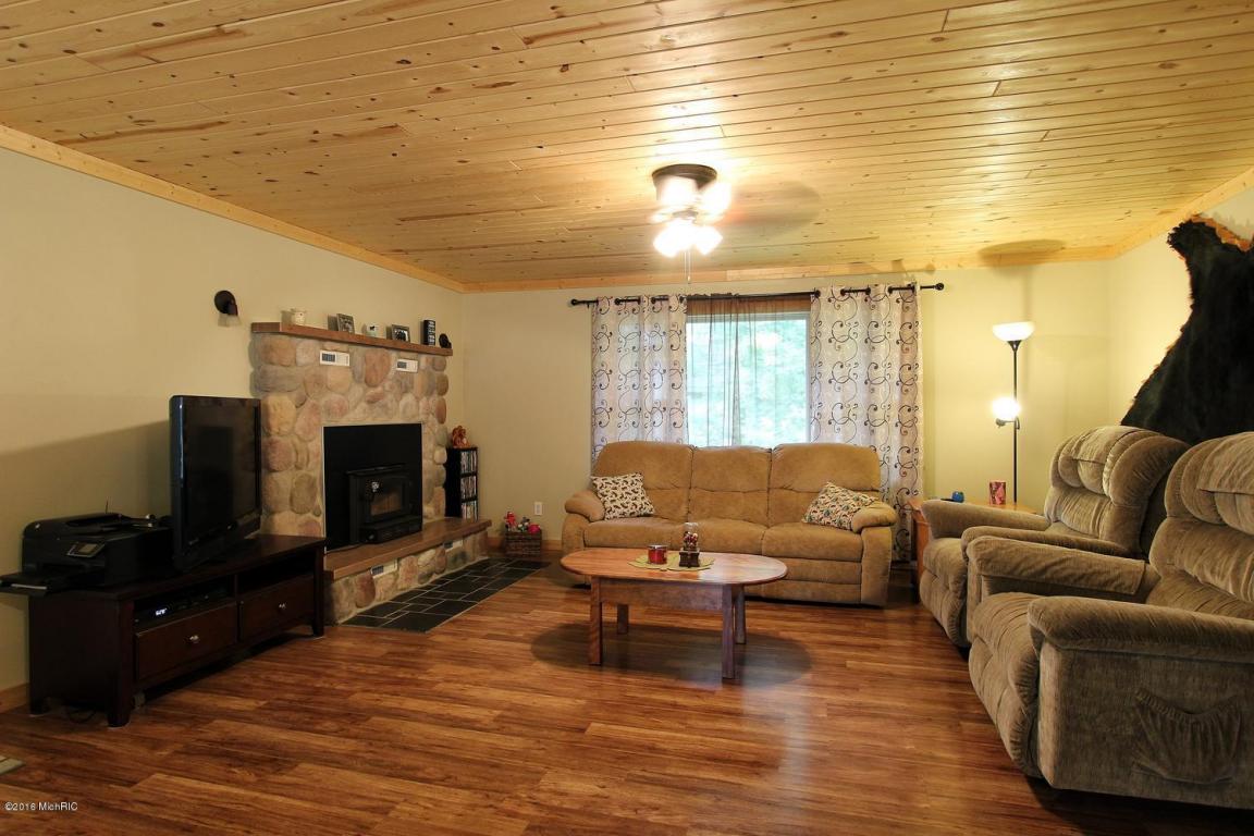 4010 E Shore Dr, Stanton, MI 48888 photo 3