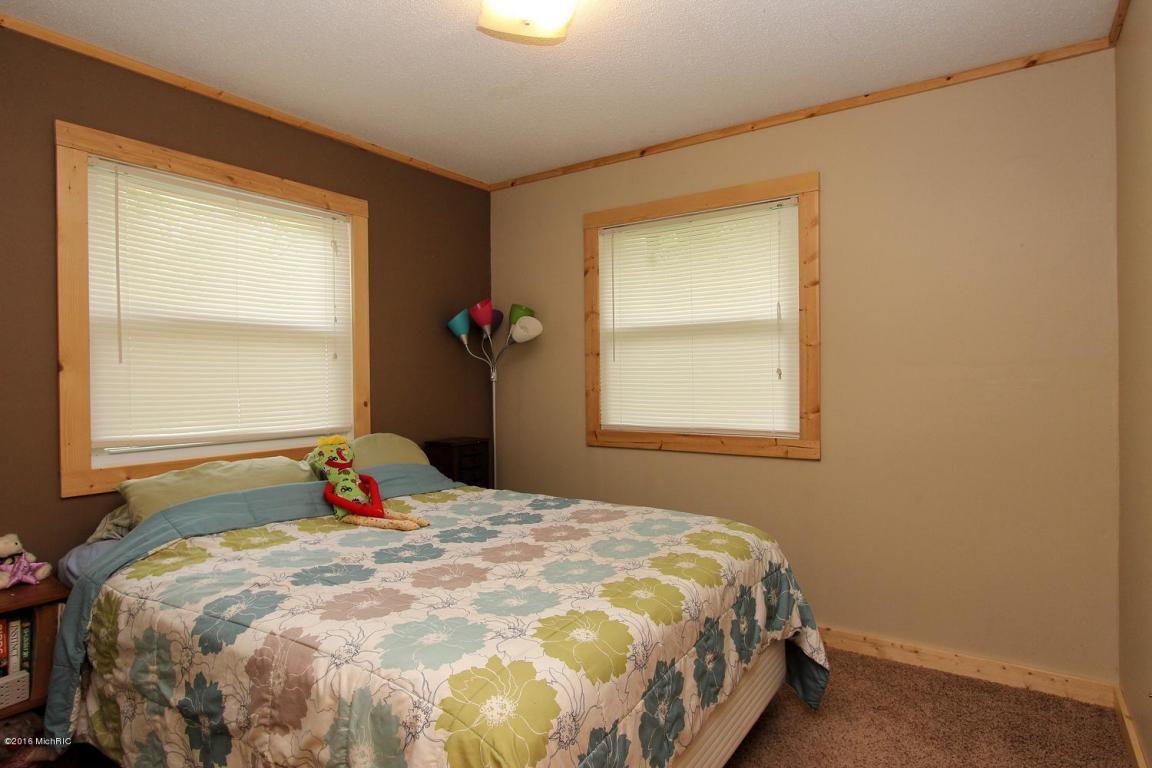 4010 E Shore Dr, Stanton, MI 48888 photo 18