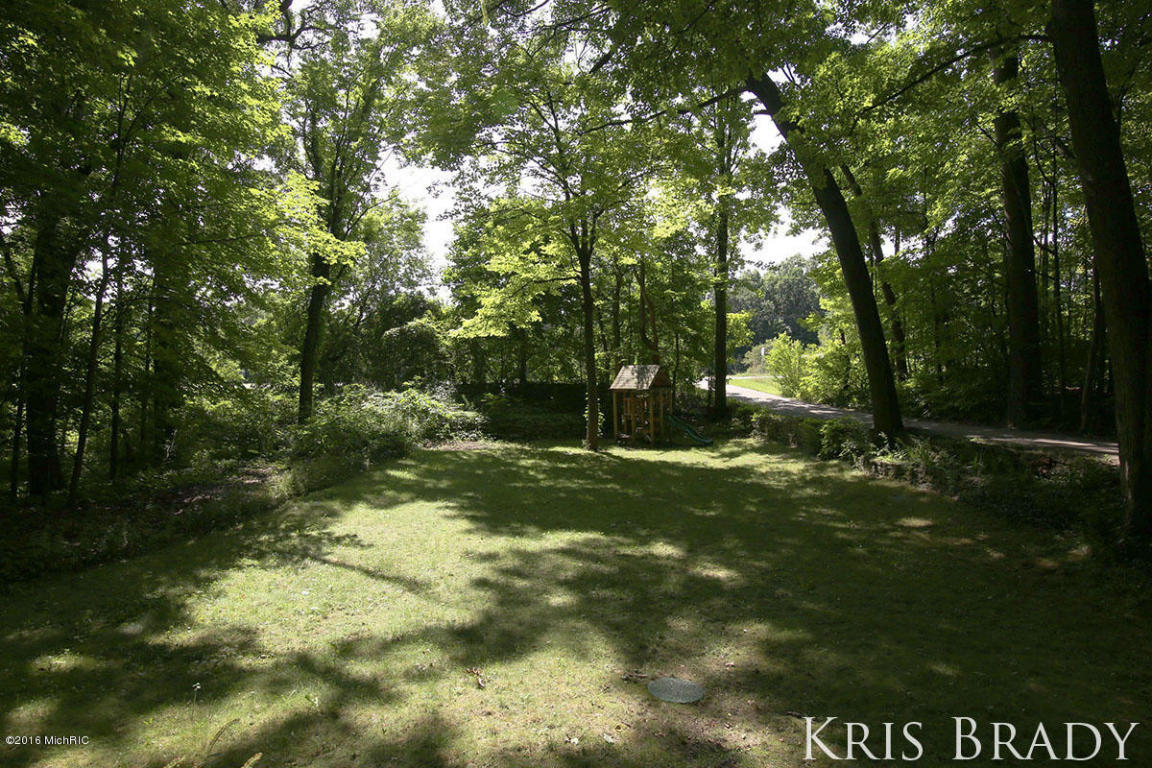 5697 E Fulton St, Ada, MI 49301 photo 19