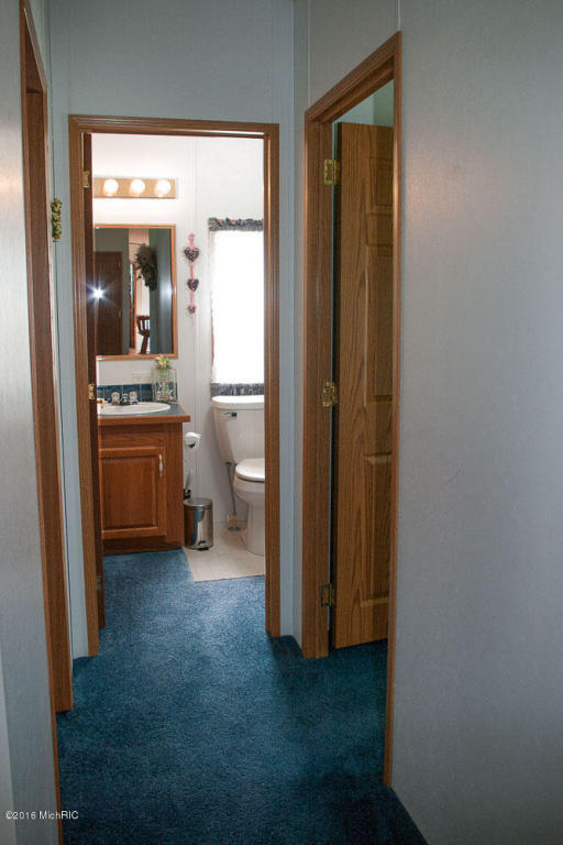 2853 Weeks Dr, Morley, MI 49336 photo 26