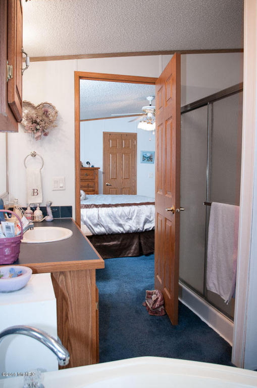 2853 Weeks Dr, Morley, MI 49336 photo 25
