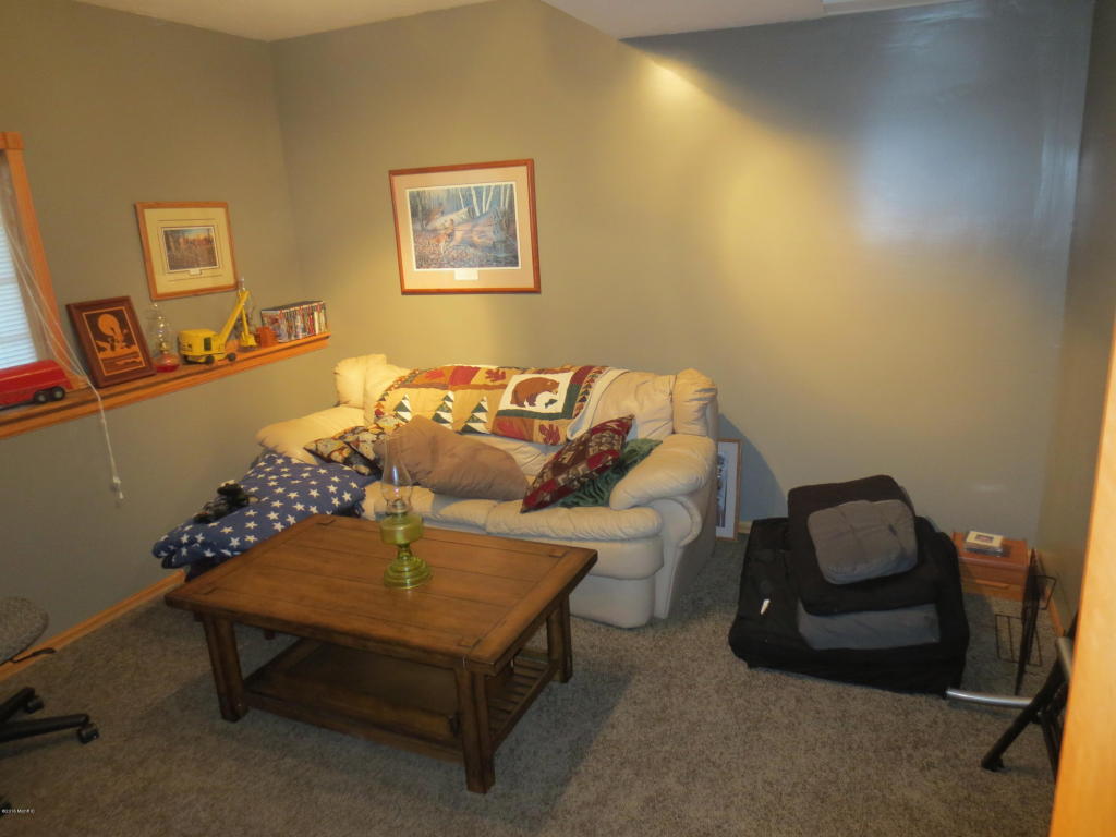 4455 Bartonville, Belding, MI 48809 photo 34