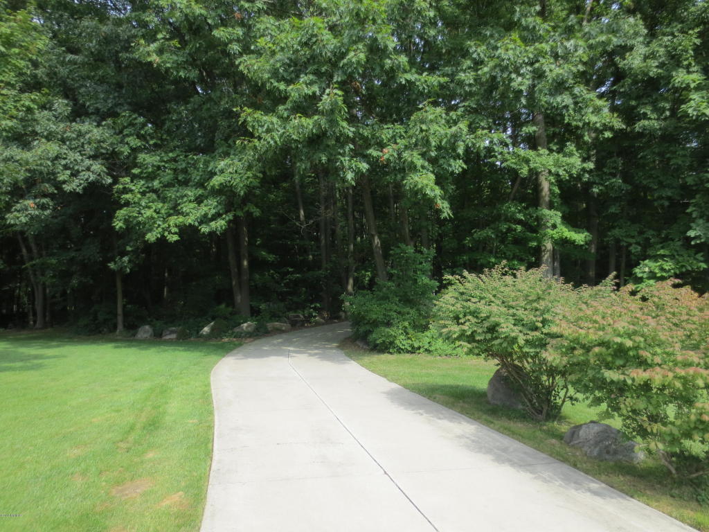 4455 Bartonville, Belding, MI 48809 photo 62
