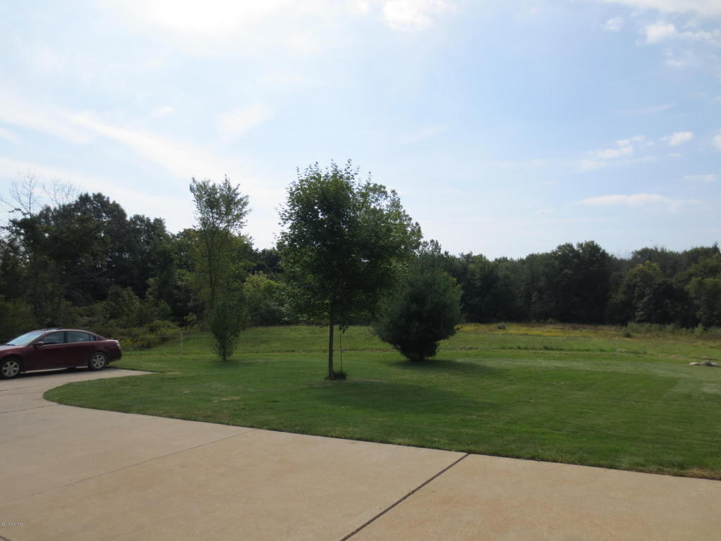 4455 Bartonville, Belding, MI 48809 photo 59