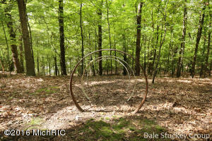 74 Deer Run, Ada, MI 49301 photo 40