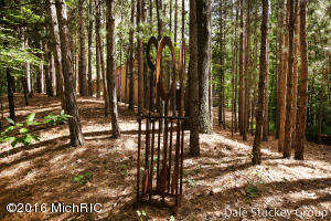 74 Deer Run, Ada, MI 49301 photo 39