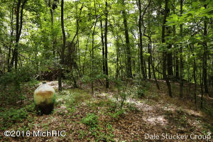 74 Deer Run, Ada, MI 49301 photo 38